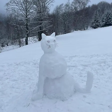 Schronisko Srebrny Potok Lubawka