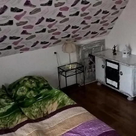 Bed and breakfast Schronisko Srebrny Potok