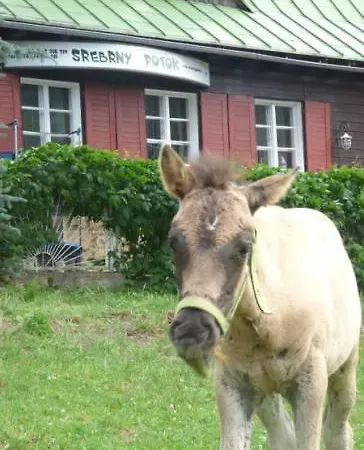 Nocleg ze śniadaniem Schronisko Srebrny Potok Lubawka
