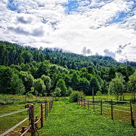 Schronisko Srebrny Potok