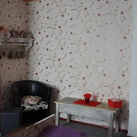 Bed and breakfast Schronisko Srebrny Potok