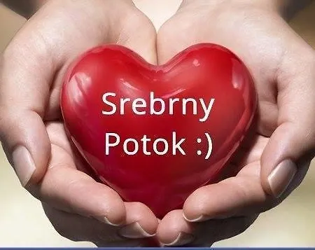 Schronisko Srebrny Potok ルバフカ