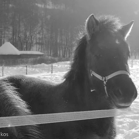 Schronisko Srebrny Potok * Lubawka