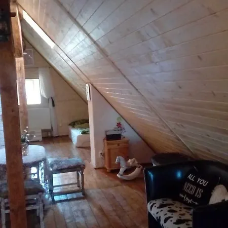 Schronisko Srebrny Potok