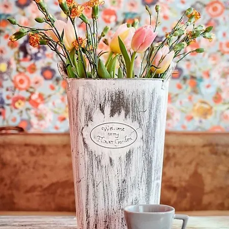 Schronisko Srebrny Potok *