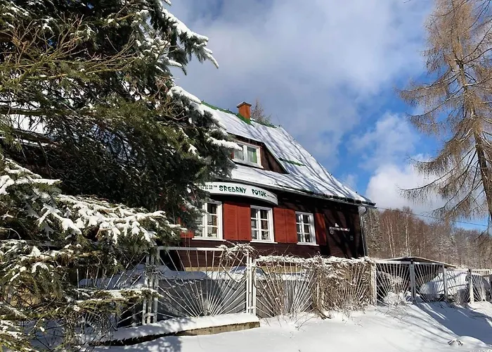 לינה וארוחת בוקר Schronisko Srebrny Potok