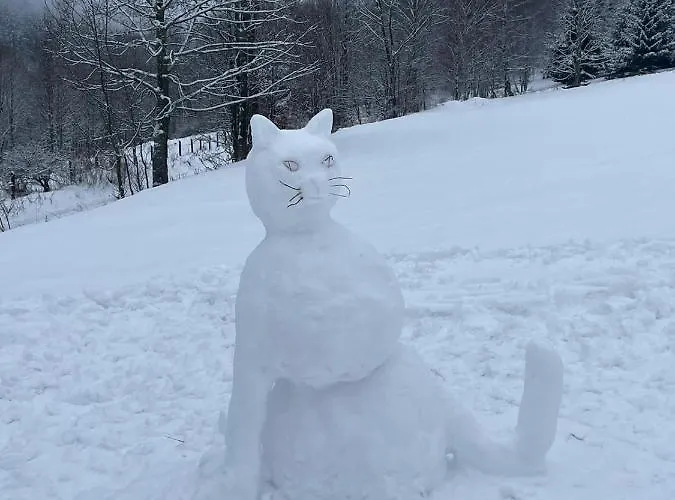 Schronisko Srebrny Potok לובאבקה