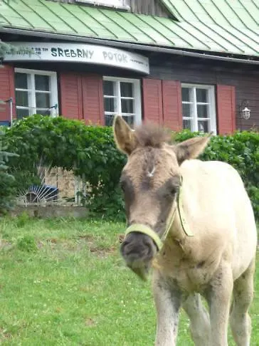 Bed & Breakfast Schronisko Srebrny Potok Lubawka