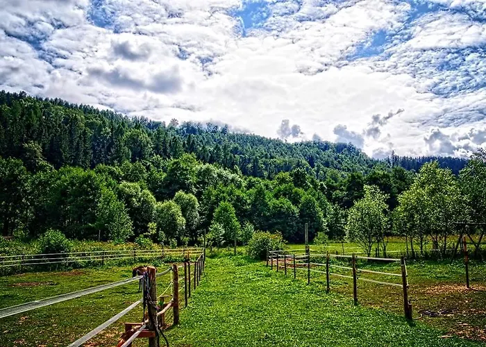 Schronisko Srebrny Potok