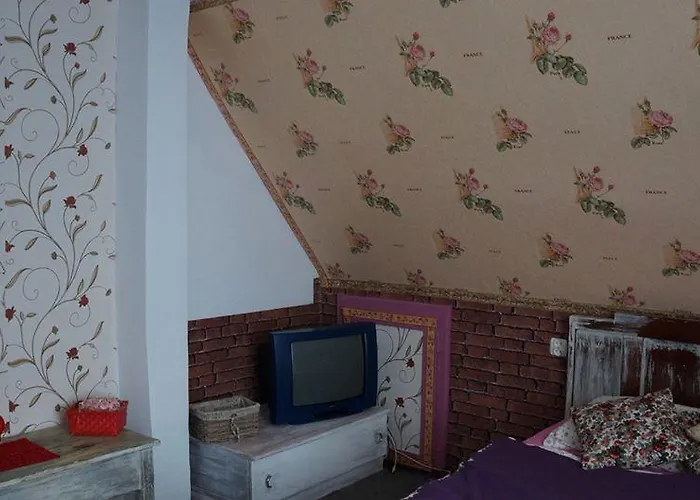 Bed & Breakfast Schronisko Srebrny Potok *