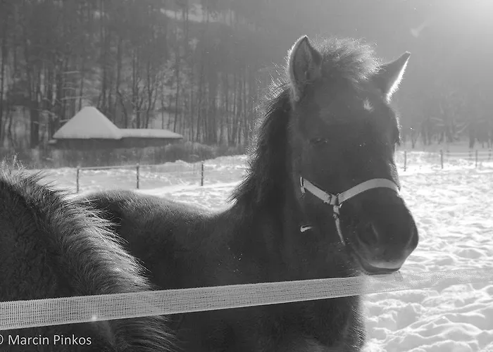 Schronisko Srebrny Potok * Lubawka