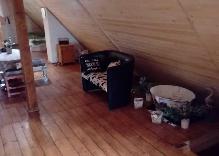 Schronisko Srebrny Potok לינה וארוחת בוקר לובאבקה