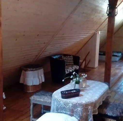 Schronisko Srebrny Potok Bed & Breakfast