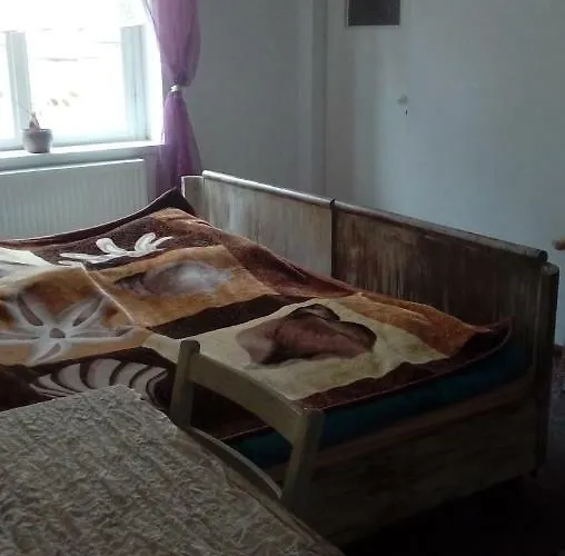 Bed & Breakfast Schronisko Srebrny Potok