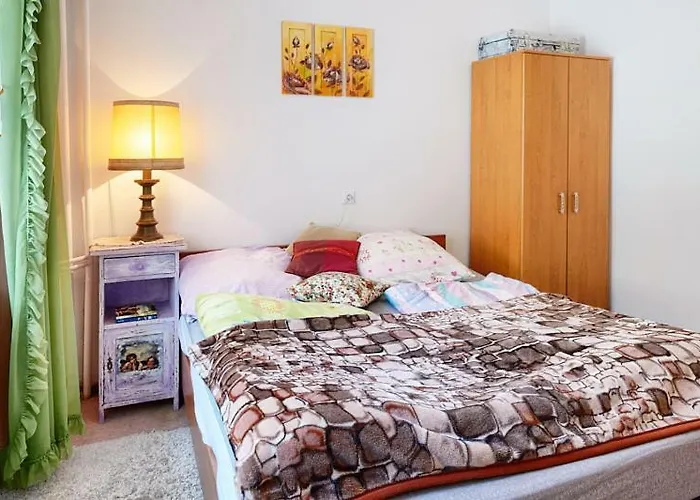 Bed & Breakfast Schronisko Srebrny Potok