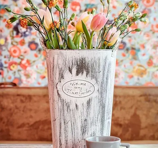 Schronisko Srebrny Potok *