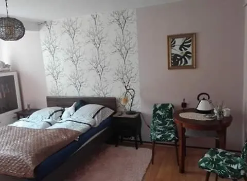 Schronisko Srebrny Potok *